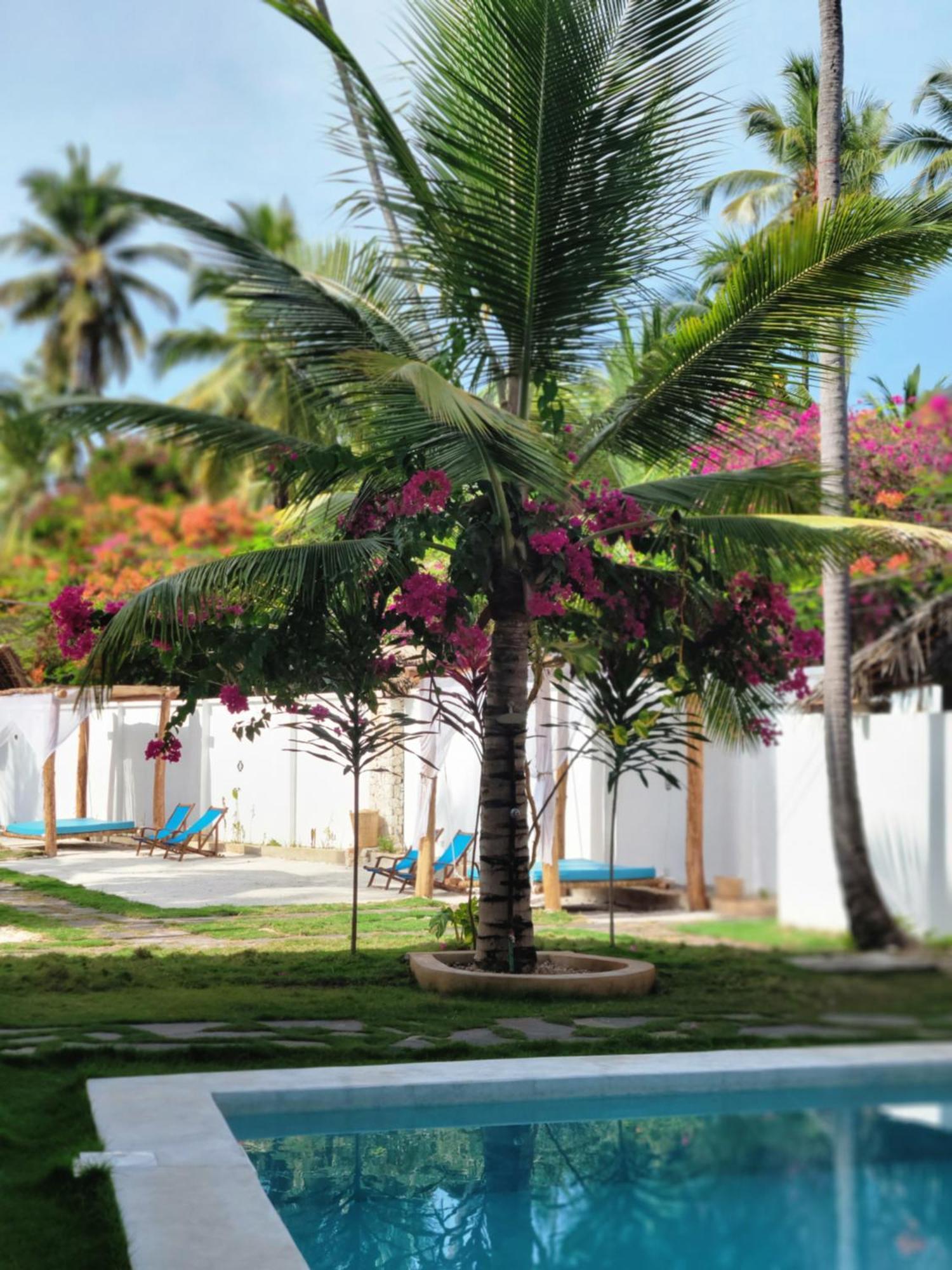 Mambo Cabana Пвани-Мчангани Экстерьер фото